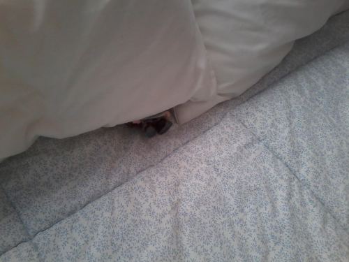 under the pillow 2a